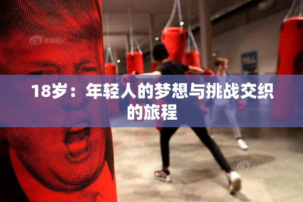 18岁：年轻人的梦想与挑战交织的旅程