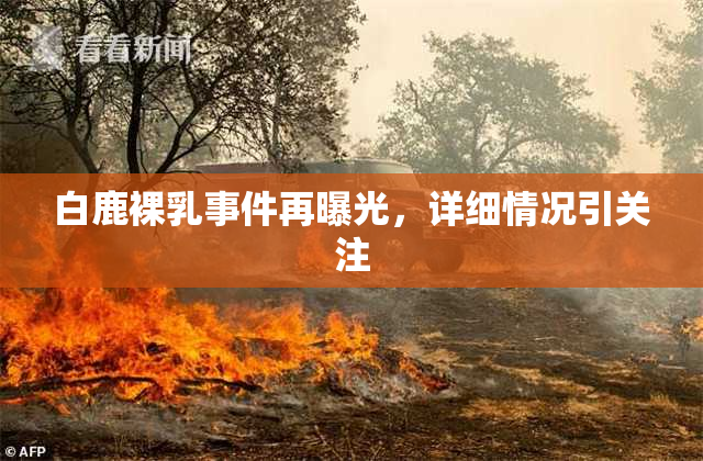 白鹿裸乳事件再曝光，详细情况引关注