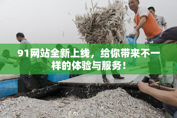 91网站全新上线，给你带来不一样的体验与服务！