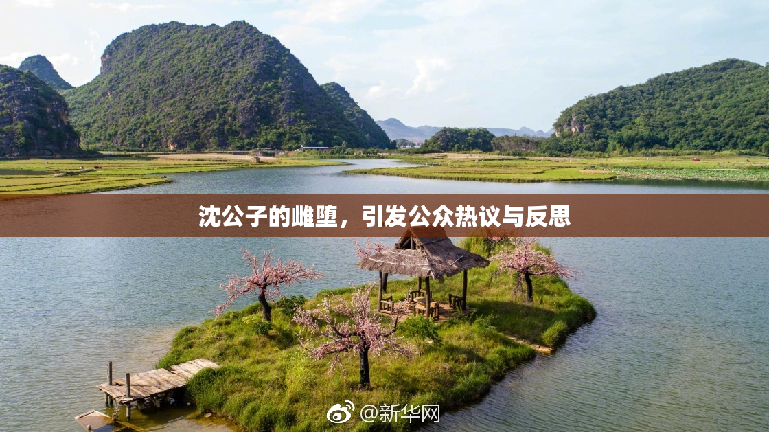 沈公子的雌堕，引发公众热议与反思