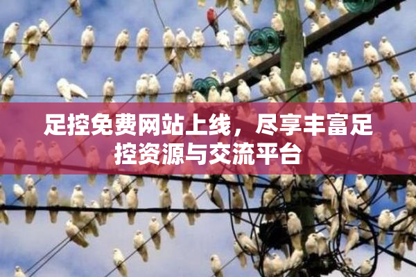 足控免费网站上线，尽享丰富足控资源与交流平台