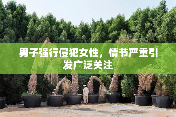 男子强行侵犯女性，情节严重引发广泛关注