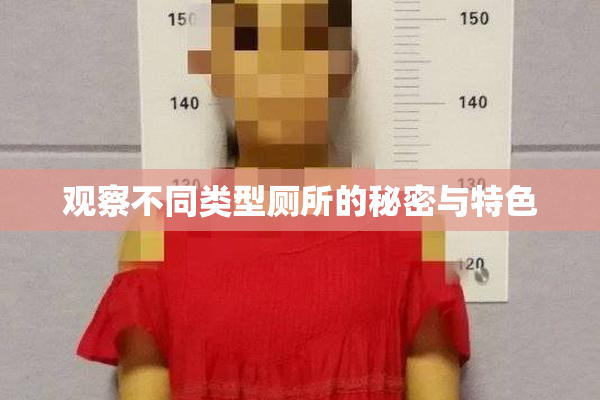 观察不同类型厕所的秘密与特色
