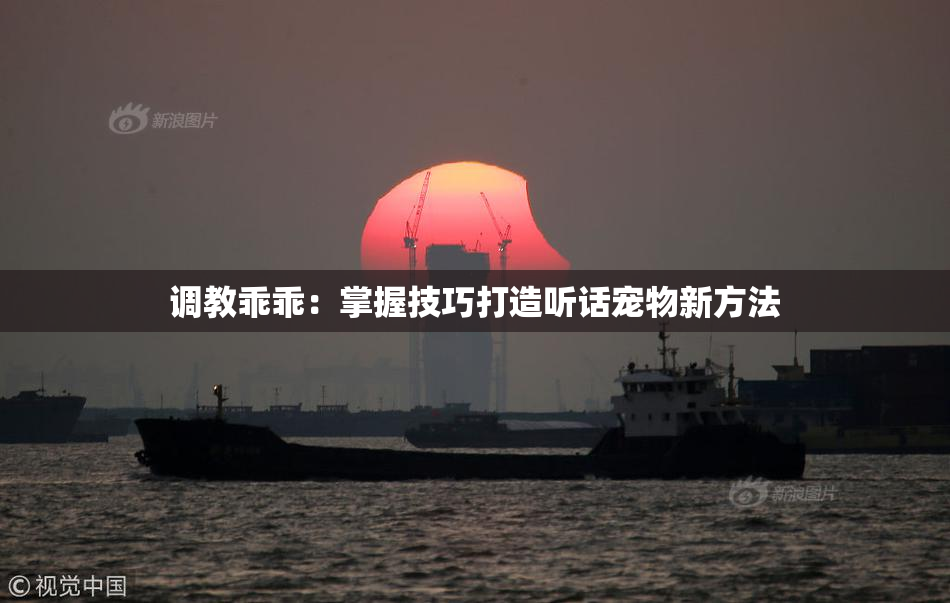 调教乖乖：掌握技巧打造听话宠物新方法