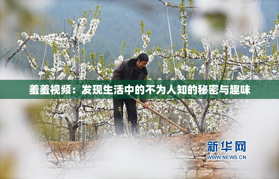 羞羞视频：发现生活中的不为人知的秘密与趣味