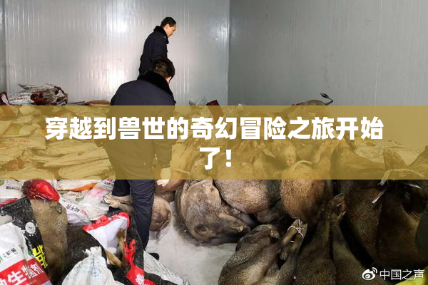 穿越到兽世的奇幻冒险之旅开始了！