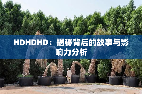 HDHDHD：揭秘背后的故事与影响力分析