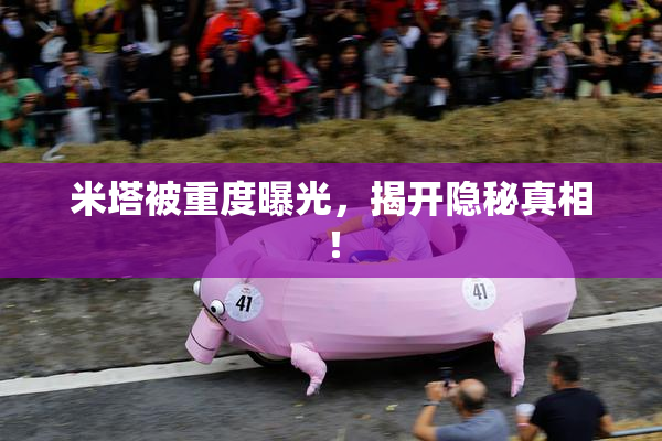 米塔被重度曝光，揭开隐秘真相！