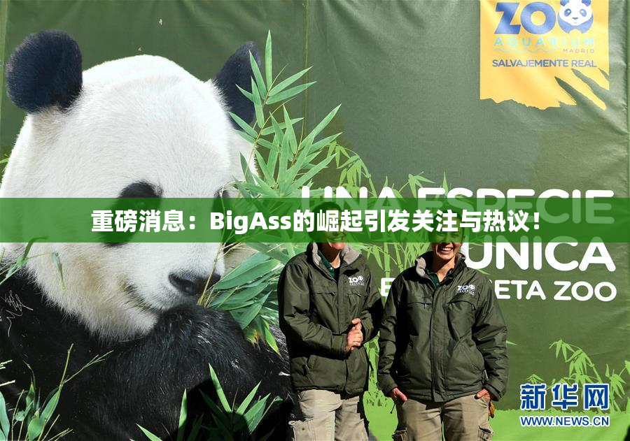重磅消息：BigAss的崛起引发关注与热议！