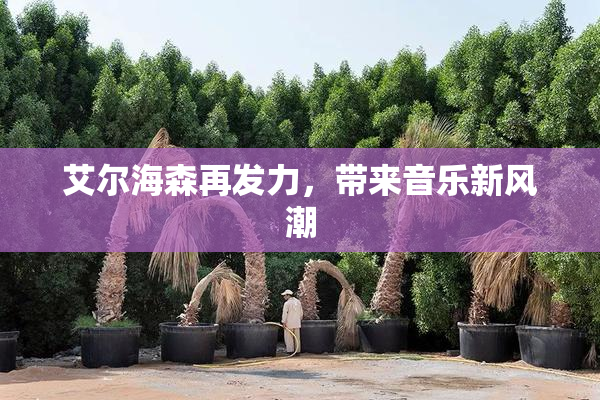 艾尔海森再发力，带来音乐新风潮