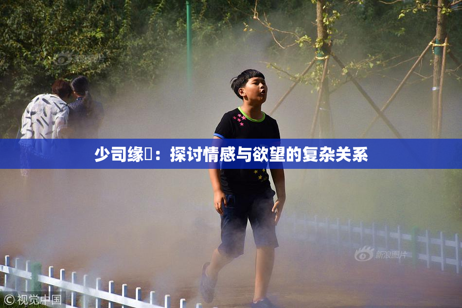 少司缘婬：探讨情感与欲望的复杂关系