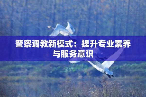警察调教新模式：提升专业素养与服务意识