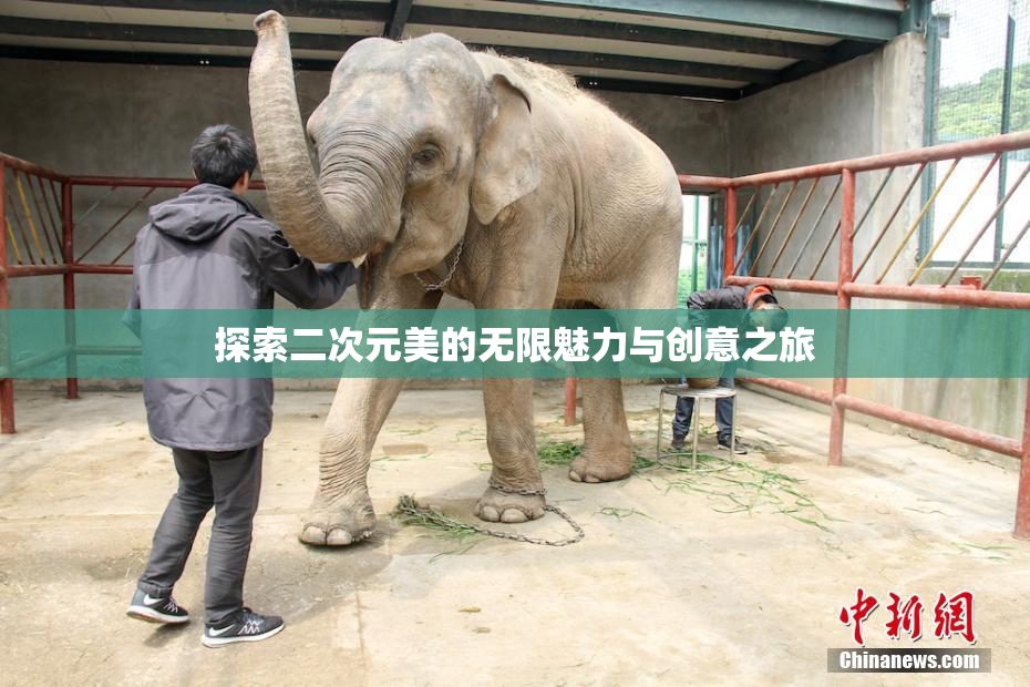 探索二次元美的无限魅力与创意之旅