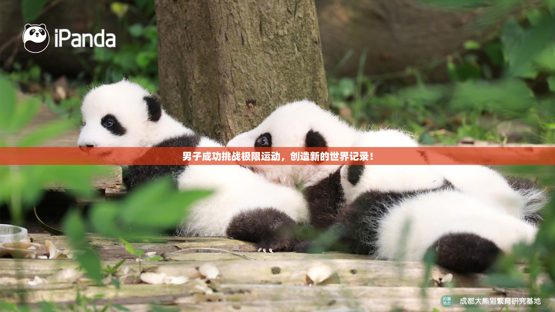 男子成功挑战极限运动，创造新的世界记录！
