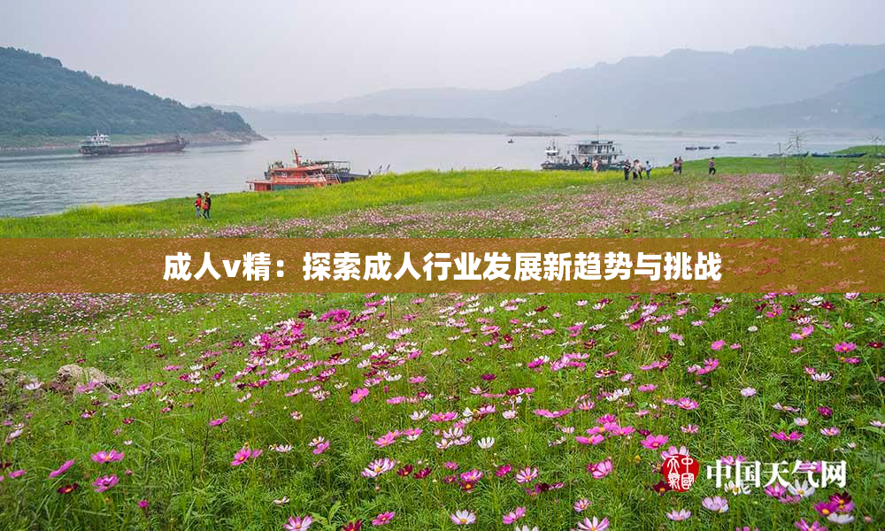 成人v精：探索成人行业发展新趋势与挑战