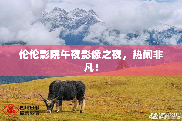 伦伦影院午夜影像之夜，热闹非凡！