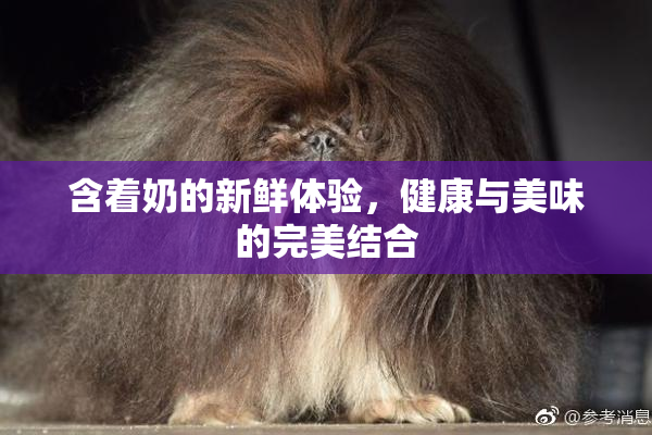 含着奶的新鲜体验，健康与美味的完美结合