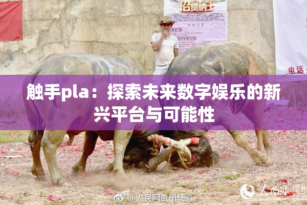 触手pla：探索未来数字娱乐的新兴平台与可能性