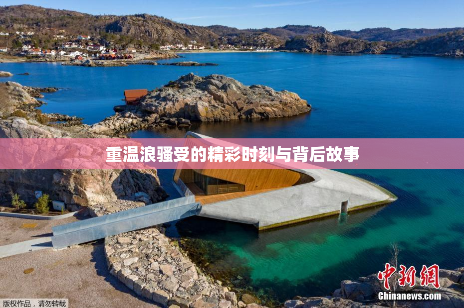 重温浪骚受的精彩时刻与背后故事