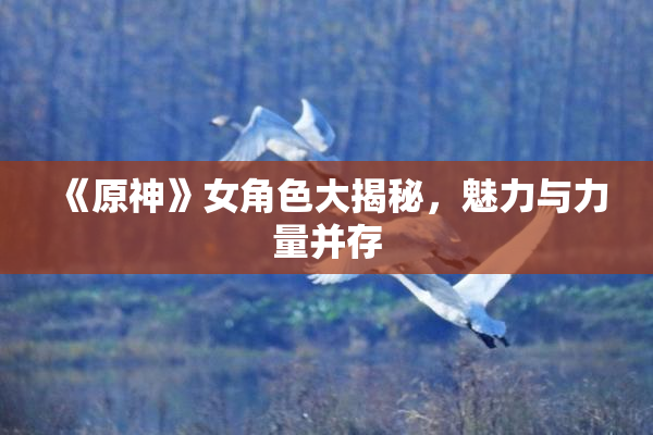 《原神》女角色大揭秘，魅力与力量并存
