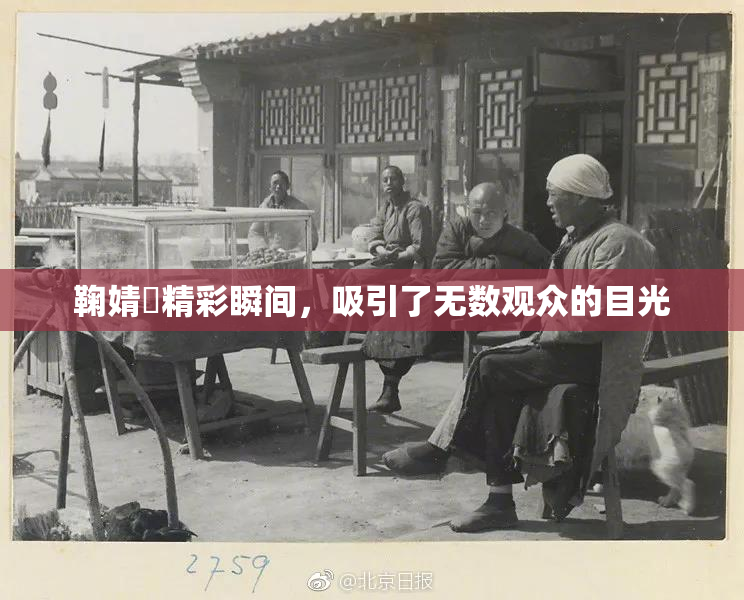 鞠婧祎精彩瞬间，吸引了无数观众的目光