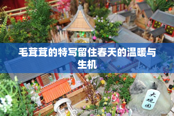毛茸茸的特写留住春天的温暖与生机