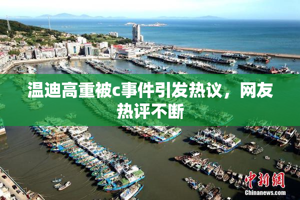 温迪高重被c事件引发热议，网友热评不断