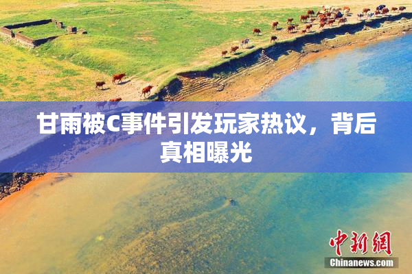 甘雨被C事件引发玩家热议，背后真相曝光