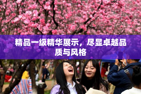 精品一级精华展示，尽显卓越品质与风格