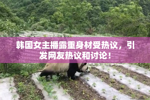 韩国女主播露重身材受热议，引发网友热议和讨论！