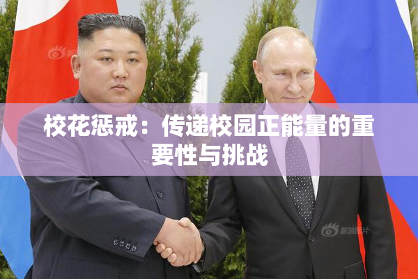 校花惩戒：传递校园正能量的重要性与挑战