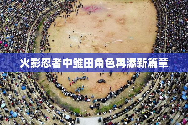 火影忍者中雏田角色再添新篇章