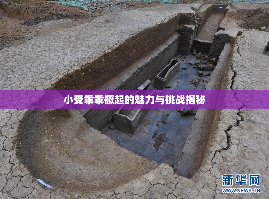 小受乖乖撅起的魅力与挑战揭秘