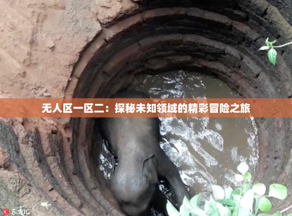 无人区一区二：探秘未知领域的精彩冒险之旅