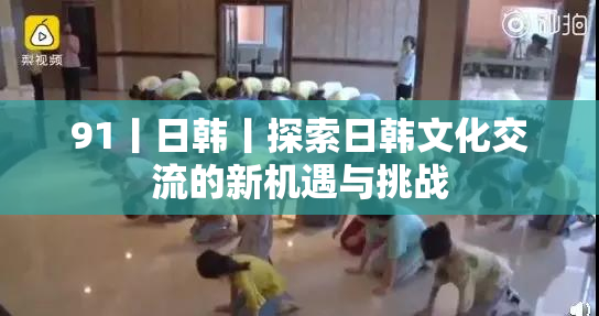 91丨日韩丨探索日韩文化交流的新机遇与挑战