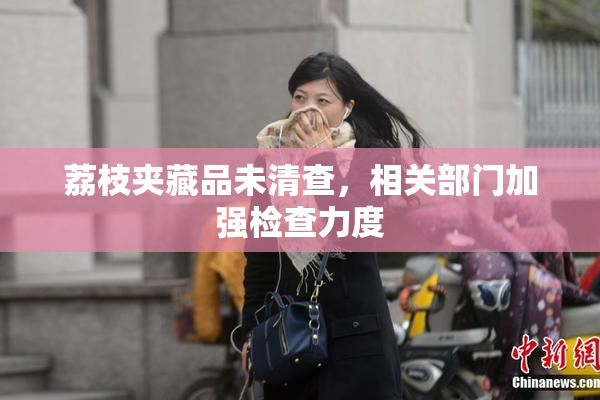 荔枝夹藏品未清查，相关部门加强检查力度