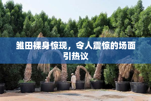 雏田裸身惊现，令人震惊的场面引热议