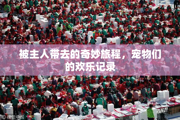 被主人带去的奇妙旅程，宠物们的欢乐记录