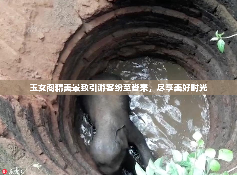 玉女阁精美景致引游客纷至沓来，尽享美好时光
