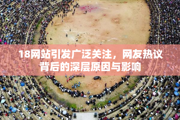 18网站引发广泛关注，网友热议背后的深层原因与影响