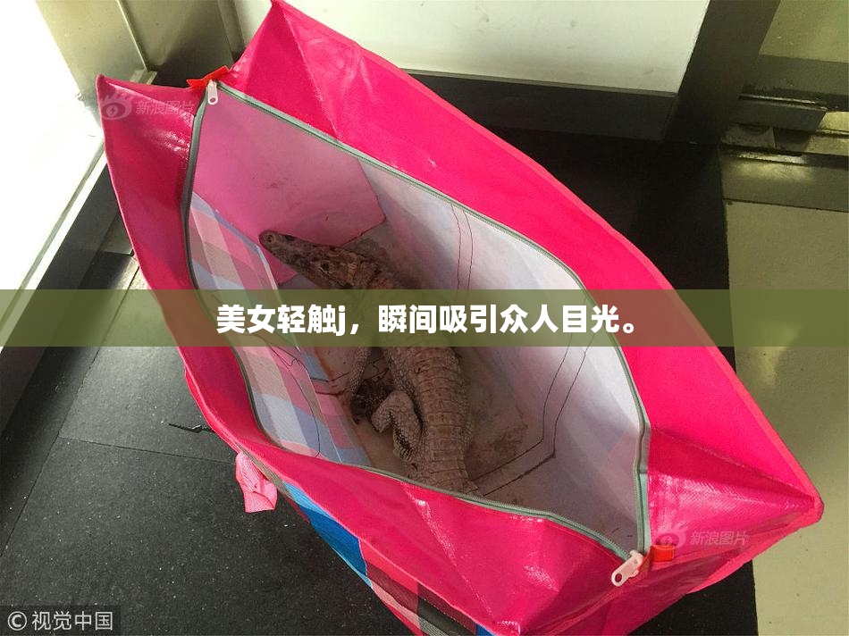 美女轻触j，瞬间吸引众人目光。