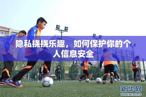 隐私挠挠乐趣，如何保护你的个人信息安全