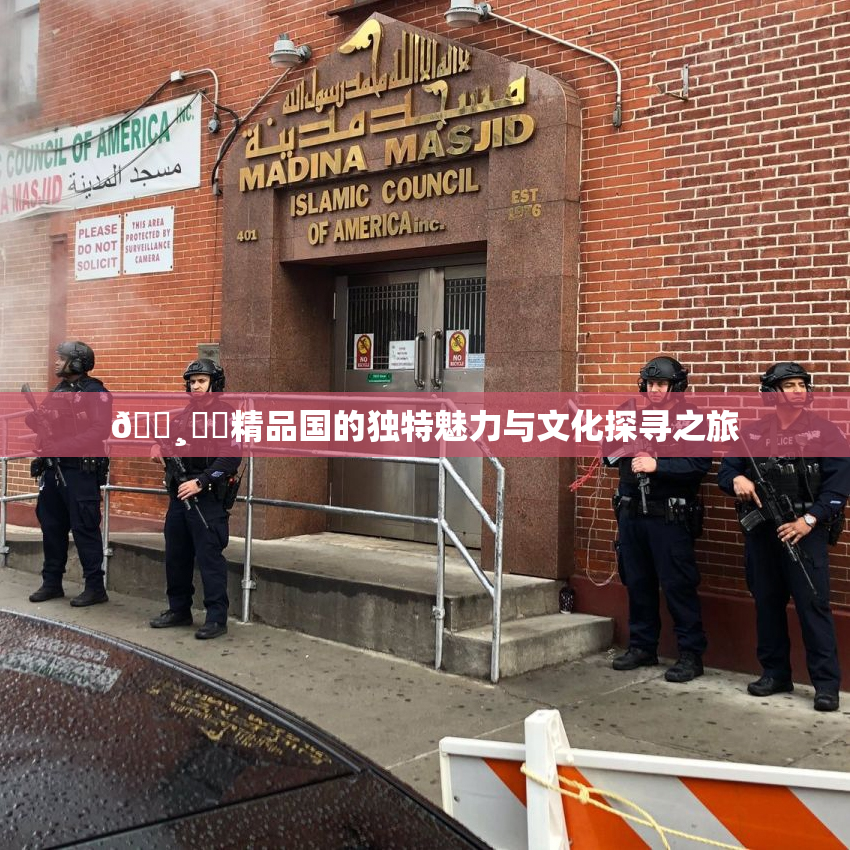 🌸‌✿精品国的独特魅力与文化探寻之旅