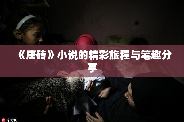 《唐砖》小说的精彩旅程与笔趣分享