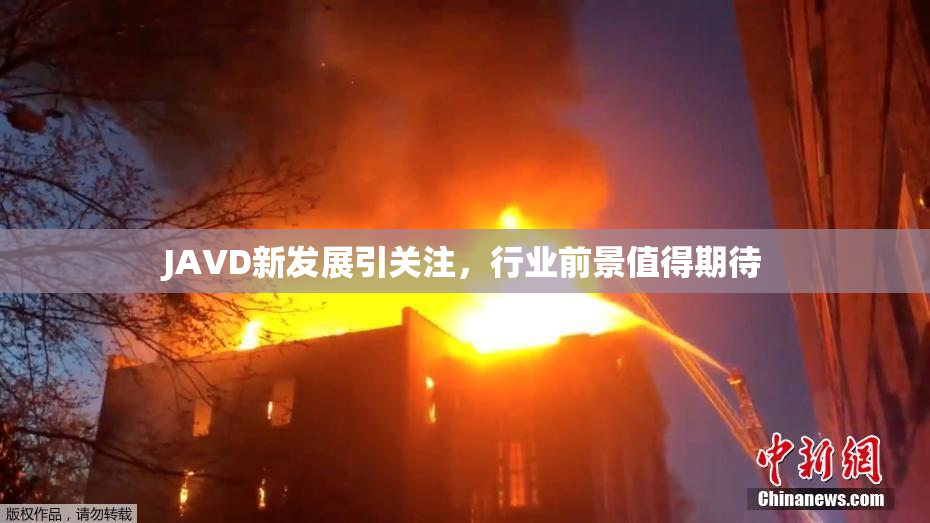 JAVD新发展引关注，行业前景值得期待