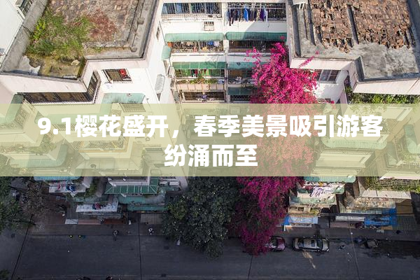 9.1樱花盛开，春季美景吸引游客纷涌而至