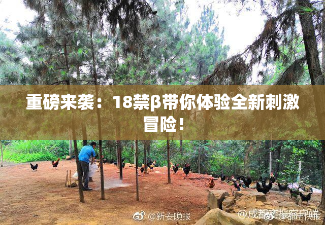 重磅来袭：18禁β带你体验全新刺激冒险！