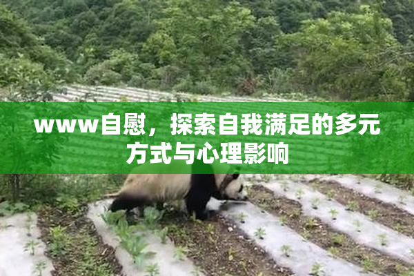 www自慰，探索自我满足的多元方式与心理影响