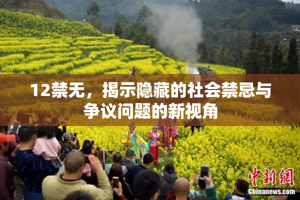 12禁无，揭示隐藏的社会禁忌与争议问题的新视角