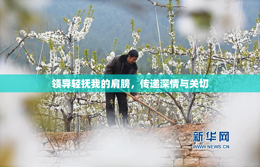 领导轻抚我的肩膀，传递深情与关切